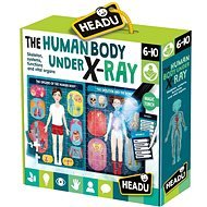Ľudské telo pod röntgenom - Puzzle