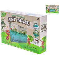 Grow&decorate earthworm world kit in plastic box - Craft for Kids