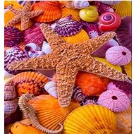 Gaira Starfish D0984 - Diamond Painting