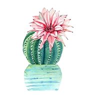 Gaira Cactus D9012 - Diamond Painting