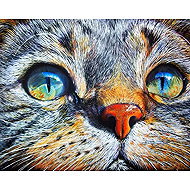 GAIRA Cat DP383 - Diamond Painting