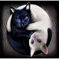 GAIRA Cats DP987 - Diamond Painting