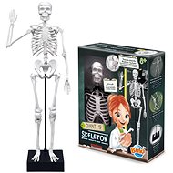 Buki France Large human skeleton 45cm - Experiment Kit