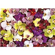 EDUCA Puzzle Orchid Collage 1000 pieces - Jigsaw Puzzle