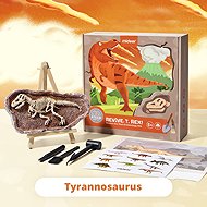 Mideer Dinosaur Excavation - Tyrannosaurus - Creative Toy