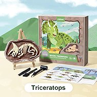 Mideer Dinosaur Dig Kit - Triceratops - Creative Toy