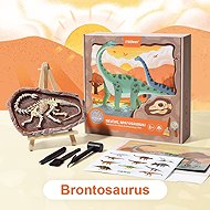 Mideer Dinosaur Excavation - Brontosaurus - Creative Toy