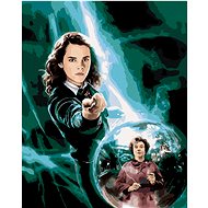 Zuty - Painting by Numbers - Poster Harry Potter And The Order Of The Phoenix - Hermione, 40X50 Cm,  - Painting by Numbers