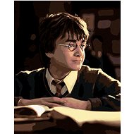 Zuty - Painting by Numbers - Harry Potter With Book, 40X50 Cm, Canvas+Frame - Painting by Numbers