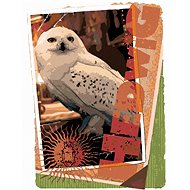 Zuty - Painting by Numbers - Card Hedwig (Harry Potter), 40X50 Cm, Canvas+Frame - Painting by Numbers