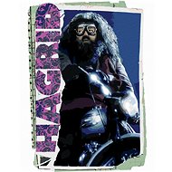 Zuty - Painting by Numbers - Card Hagrid (Harry Potter), 40X50 Cm, Canvas+Frame - Painting by Numbers