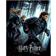 Zuty - Painting by Numbers - Poster Harry Potter And The Deathly Hallows - On The Run, 40X50 Cm, Can - Painting by Numbers