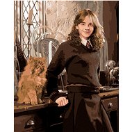 Zuty - Painting by Numbers - Hermione With Curly Leg In The Classroom (Harry Potter), 40X50 Cm, Canv - Painting by Numbers