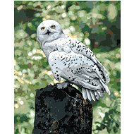 Zuty - Painting by Numbers - Hedwig on the Tree (Harry Potter), 40X50 Cm, Canvas - Painting by Numbers