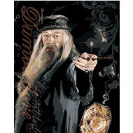 Zuty - Painting by Numbers - Poster Dumbledore and the Horcrux (Harry Potter), 40X50 Cm, Canvas+Fram - Painting by Numbers