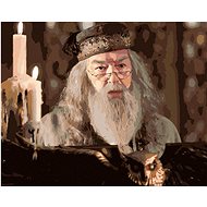 Zuty - Painting by Numbers - Dumbledore at the Owl Speaker's Cult (Harry Potter), 40X50 Cm, Canvas+F - Painting by Numbers