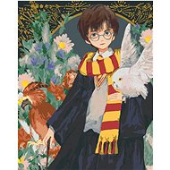 Zuty - Painting by Numbers - Harry Potter, Hedwig And The Phoenix Fawkes, 40X50 Cm, Canvas+Frame - Painting by Numbers