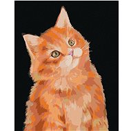 Zuty - Painting By Numbers - Ginger Cat On Dark Background (Myroslava Voloschuk), 40X50 Cm, Canvas - Painting by Numbers