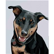 Zuty - Painting by Numbers - Rottweiler 2 (Myroslava Voloschuk), 40X50 Cm, Canvas+Frame - Painting by Numbers