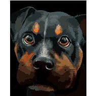 Zuty - Painting by Numbers - Rottweiler (Myroslava Voloschuk), 40X50 Cm, Canvas+Frame - Painting by Numbers
