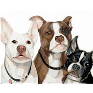 Zuty - Painting by Numbers - Dog Family (Myroslava Voloschuk), 40X50 Cm, Canvas+Frame - Painting by Numbers