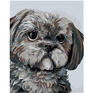 Zuty - Painting by Numbers - Dog (Myroslava Voloschuk), 40X50 Cm, Canvas+Frame - Painting by Numbers