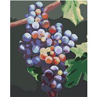 Zuty - Painting by Numbers - Blue Grapes (Myroslava Voloschuk), 40X50 Cm, Canvas+Frame - Painting by Numbers