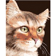 Zuty - Painting by Numbers - Cat (Myroslava Voloschuk), 40X50 Cm, Canvas+Frame - Painting by Numbers