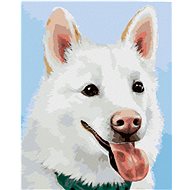 Zuty - Painting by Numbers - White Swiss Shepherd (Myroslava Voloschuk), 40X50 Cm, Canvas+Frame - Painting by Numbers