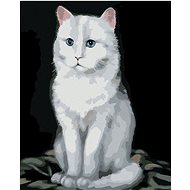 Zuty - Painting by Numbers - White Cat 2 (Myroslava Voloschuk), 40X50 Cm, Canvas+Frame - Painting by Numbers