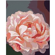 Zuty - Painting by Numbers - Peonies 6 (Myroslava Voloschuk), 40X50 Cm, Canvas+Frame - Painting by Numbers