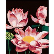 Zuty - Painting by Numbers - Pink Water Lilies (Myroslava Voloschuk), 40X50 Cm, Canvas+Frame - Painting by Numbers