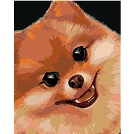 Zuty - Painting by Numbers - Pomeranian (Myroslava Voloschuk), 40X50 Cm, Canvas+Frame - Painting by Numbers