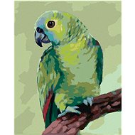 Zuty - Painting by Numbers - Parrot (Myroslava Voloschuk), 40X50 Cm, Canvas+Frame - Painting by Numbers