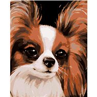 Zuty - Painting by Numbers - Papillon (Myroslava Voloschuk), 40X50 Cm, Canvas+Frame - Painting by Numbers