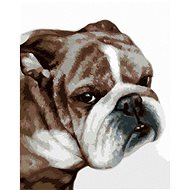 Zuty - Painting by Numbers - Bulldog (Myroslava Voloschuk), 40X50 Cm, Canvas+Frame - Painting by Numbers