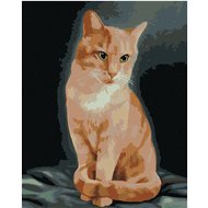 Zuty - Painting by Numbers - Ginger Cat (Myroslava Voloschuk), 40X50 Cm, Canvas+Frame - Painting by Numbers