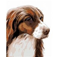 Zuty - Painting by Numbers - Cocker Spaniel (Myroslava Voloschuk), 40X50 Cm, Canvas+Frame - Painting by Numbers