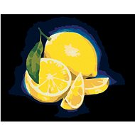 Zuty - Painting by Numbers - Lemon 4 (Myroslava Voloschuk), 40X50 Cm, Canvas+Frame - Painting by Numbers