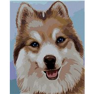 Zuty - Painting by Numbers - Husky (Myroslava Voloschuk), 40X50 Cm, Canvas+Frame - Painting by Numbers
