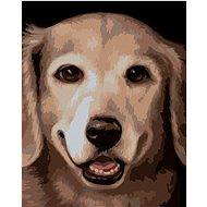 Zuty - Painting by Numbers - Golden Retriever 2 (Myroslava Voloschuk), 40X50 Cm, Canvas+Frame - Painting by Numbers