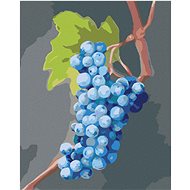 Zuty - Painting by Numbers - Blue Grapes (Myroslava Voloschuk), 40X50 Cm, Canvas+Frame - Painting by Numbers