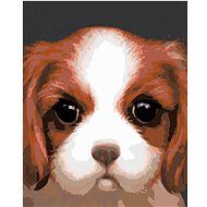 Zuty - Painting by Numbers - Dog - Cavalier King Charles of Spain (Myroslava Voloschuk), 40X50 Cm, C - Painting by Numbers