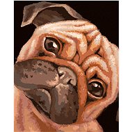 Zuty - Painting by Numbers - Brown Pug (Myroslava Voloschuk), 40X50 Cm, Canvas+Frame - Painting by Numbers