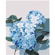 Zuty - Painting by Numbers - Hydrangea 2 (Myroslava Voloschuk), 40X50 Cm, Canvas+Frame - Painting by Numbers