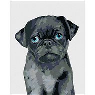 Zuty - Painting by Numbers - Pug (Myroslava Voloschuk), 40X50 Cm, Canvas+Frame - Painting by Numbers
