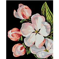 Zuty - Painting by Numbers - Apple Blossom (Myroslava Voloschuk), 40X50 Cm, Canvas+Frame - Painting by Numbers