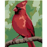 Zuty - Painting by Numbers - Red Bird (Myroslava Voloschuk), 40X50 Cm, Canvas+Frame - Painting by Numbers