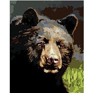 Zuty - Painting by Numbers - Portrait of Bear (D. Rusty Rust), 40X50 Cm, Canvas+Frame - Painting by Numbers
