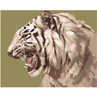Zuty - Painting By Numbers - Roaring White Tiger Portrait (D. Rusty Rust), 80X100 Cm, Canvas+Frame - Painting by Numbers
